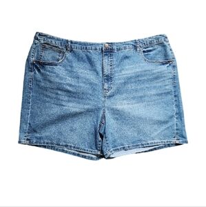 NWT Terra &‎ Sky Blue Denim Women's Plus 3X